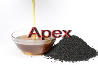 Graines de Nigella Sativa, Graines de Kalaunji, Nettoyées par Sortex, Fournisseur en Gros