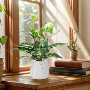<span class=keywords><strong>Pot</strong></span> En Plastique,<span class=keywords><strong>Pot</strong></span> <span class=keywords><strong>De</strong></span> Fleur En Plastique, Pots en plastique d'extérieur et d'intérieur pour plantes - Product Image 4