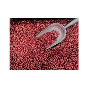 Natural Dried Red <b>Beans</b> for Cooking and Export Market - Product Image 6
