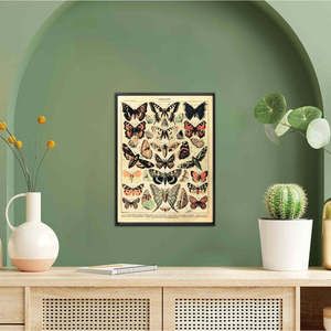 Impression d'art Papillons d'Adolphe Millot, motif nature morte élégant - Product Image 4