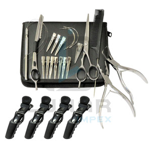 Kit d'outils d'extension de cheveux de qualité industrielle en argent poli, pince d'extension de cheveux et accessoires multiples - Product Image 2