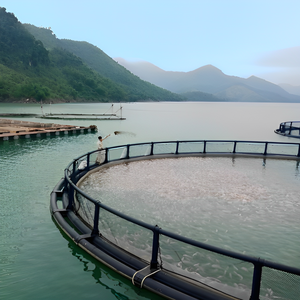 Piège flottant circulaire durable d'aquaculture de cage de mer de HDPE de prix concurrentiel pour la pisciculture faite au Vietnam - Product Image 4