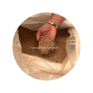Bois d'agar 100% sec en poudre pour la fabrication d'huile d'oud, bâtonnets d'encens, spa aromatique, biologique, Lintas Era Thaïlande, toutes saisons - Product Image 2