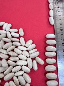 Nouvelle culture Haricots blancs de production égyptienne certifiés ISO de qualité supérieure pour un emballage en vrac de collations alimentaires saines - Product Image 2