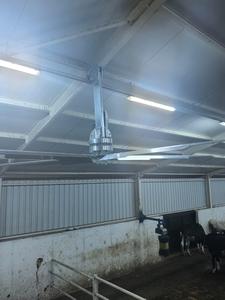 Cowair hvls พัดลมเพดาน700 P cowealthy อุตสาหกรรม hvls สำหรับฟาร์มโรงนาคลังสินค้าและพลังงานปศุสัตว์ที่มีประสิทธิภาพ - Product Image 3