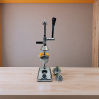 Handmatige Aluminium Handpers Juicer Fruit & Groentesap Squeezer Handheld Sinaasappel Citrus Pers Juicer Machine In 2025