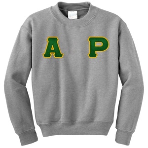 Sweat-shirt à col rond Alpha solide 100% coton pour femme Logo brodé personnalisé Printemps & Hiver Sororité & Fraternité Oem Service - Product Image 1