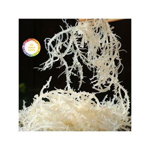 Algas marinas secas Eucheuma Cottonii de Vietnam, producto de exportación Premium para uso alimentario y cosmético - Product Image 5