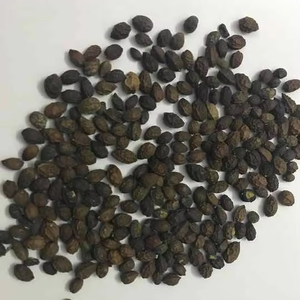 เมล็ดมะละกออบแห้งแบบพรีเมี่ยม/ดีท็อกซ์ธรรมชาติ & สุขภาพ/ผลิตในเวียดนาม - Product Image 3