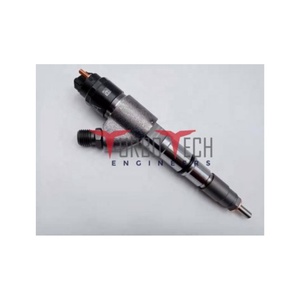 INJECTEUR DE CARBURANT 0445120066 04290986 0986435548 4290986 4289311 20798114 - Product Image 1