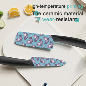 Nuevo Juego de 2 Cuchillos de Cocina de Cerámica de Primera Calidad, Afilados, Aptos para Lavavajillas, Ambidiestros, Venta al por Mayor de Fábrica, Entrega Rápida - Product Image 4