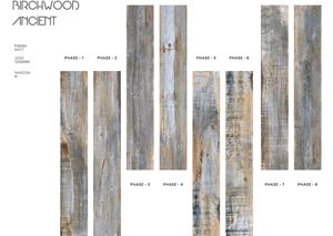 Azulejos de porcelana de madera de abedul antiguo de 200x1200mm de alta calidad, acabado mate, pulido, diseño moderno clásico para uso en exteriores - Product Image 2