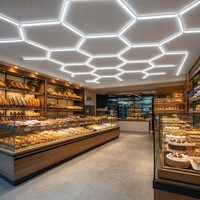 Modules d'éclairage LED en nid d'abeille pour l'intérieur des boulangeries et pâtisseries, 6000K, CRI élevé