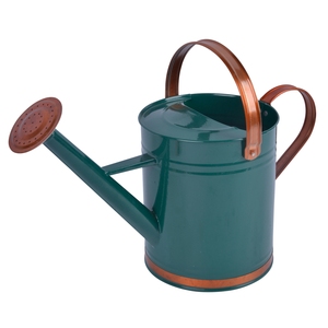 Bastones de riego de jardín de caña de agua de hierro galvanizado de diseñador plateado de la mejor calidad para balcón doméstico bastones de agua de 1 litro cantidad a granel - Product Image 6