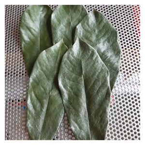 ใบกริโอลาทำจากทุเรียนเทศแห้งส่วนผสมจากธรรมชาติที่ดีที่สุดสำหรับชาจากเอเชีย - Product Image 5