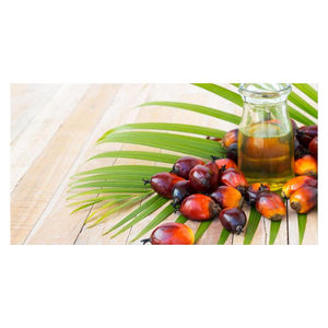 Huile de palmiste raffinée de qualité supérieure, pressée à froid, biologique, couleur dorée, haute stabilité thermique, adaptée à la friture, qualité commerciale en vrac - Product Image 3