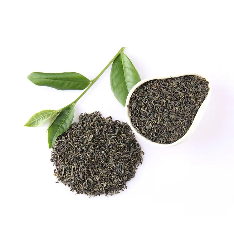 2023 High Quality Dried Green Tea and Competitive Best Price Suppliers Dried Green Tea Exported in Vietnam