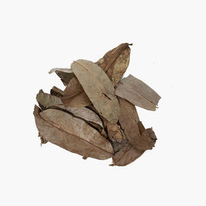 สมุนไพรออร์แกนิกธรรมชาติจากเวียดนาม - Product Image 4