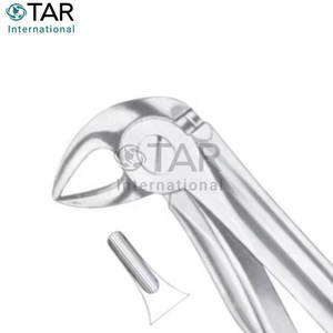 Fig. 33S Raíces inferiores para niños Fórceps de extracción de dientes de diferentes tamaños Instrumentos médicos dentales - Product Image 5