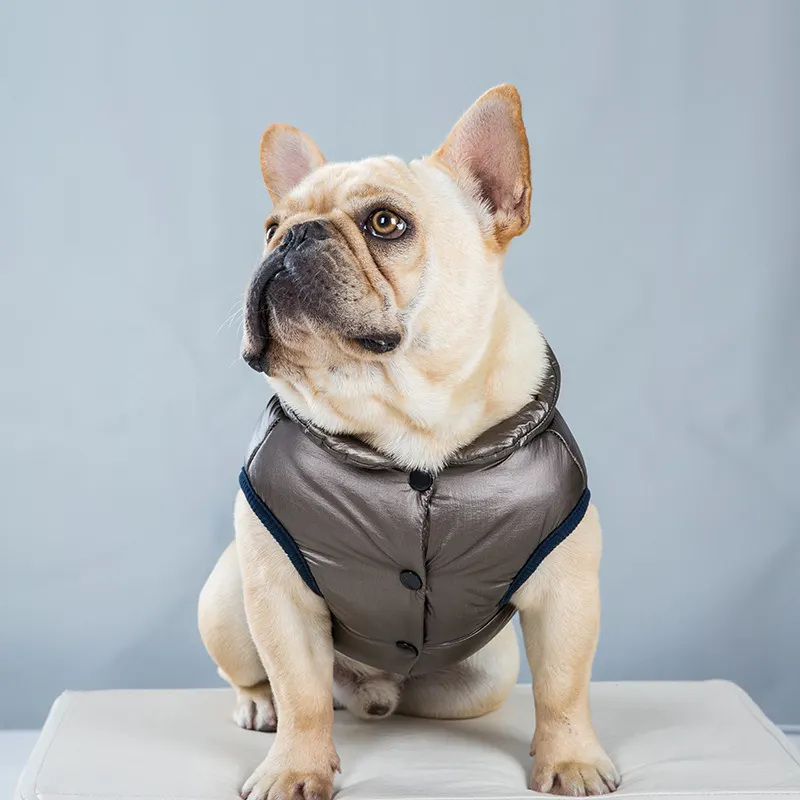 Custom made moda tasarımcısı frenpuppy küçük köpek pet kış balon ceket coat giyim lüks yavru için