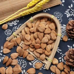 Almendras de Alta Calidad con Piel, Alto Valor Nutricional, Snack Saludable, Frutos Secos Disponibles para Exportación a Granel, Procesamiento en Crudo - Product Image 1