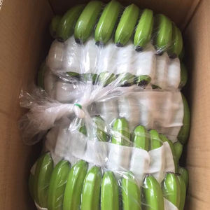 Bananes Fraîches Produit Premium Fabriqué à Partir de Fruits Tropicaux pour le Marché de Gros Vietnam par 99 Gold Data - Product Image 1