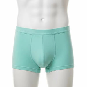 Calzoncillos de Hombre de Punto Sin Costuras, Nailon y Elastano, Transpirables, Suaves y Elásticos, Ropa Interior Cómoda para Uso Diario, Calzoncillos de Hombre, Talla L - Product Image 1