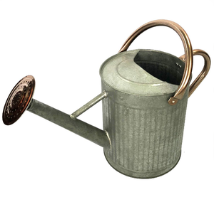 Latas de agua de metal Proveedor de jardín Regadera de plantas Regadera de metal pintado verde Nuevo diseño Regadera para el jardín del hogar Uso diario - Product Image 6