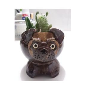 Prix le plus bas Coquille de noix de coco Animal utilisé comme souvenirs Articles décoratifs très uniques - Product Image 5