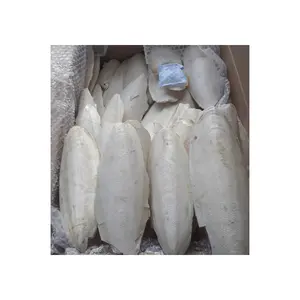 Groothandel Leveranciers Van Viet Nam Sepia Voor Geëxporteerd Natuurlijke Vogels Voedsel Goede Grade Hoge Kwaliteit Gedroogde Inktvis Bone