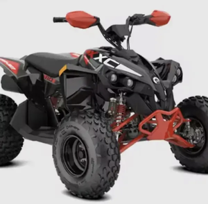 Descuentos a buen precio en 2024 Can-Am Renegades X XC Mr 650 - Product Image 3