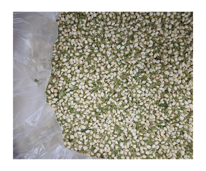 Té de brotes de jazmín puro y fresco al por mayor - Product Image 1