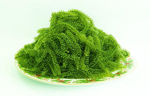 Exportar uvas de mar en grandes cantidades desde Vietnam-Las uvas de mar son instantáneas-Conveniente-Fácil de usar - Product Image 6