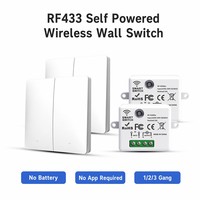 Interrupteur mural sans fil SIXWGH RF433 auto-alimenté à 2 boutons, télécommande sans batterie, 10A, étanche, interrupteur d'éclairage