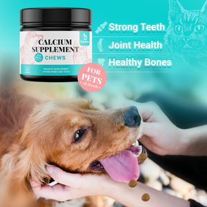 Suplemento de calcio Oem para perros y gatos, alta digestibilidad, algas marinas islandesas limpias puras, calcio sin plomo y hormonas, probado en laboratorio - Product Image 4