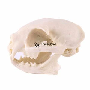 Estatua esculpida de animales de resina decorativa Tradebyd, figurita artística única para salas de estar modernas y compradores de regalos - Product Image 2