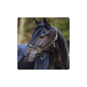 Halter en cuir de produits équestres en gros de haute qualité avec muserolle réglable intelligent - Product Image 1