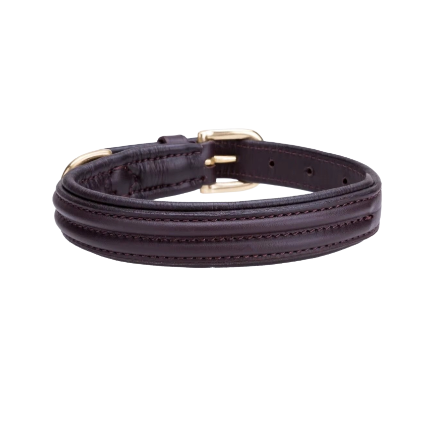 สีน้ำตาลเข้ม