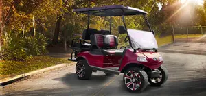 Carrito de Golf Eléctrico de Lujo UltraSilencioso para 4 Personas, Motor con Reducción de Ruido, Asientos de Cuero de Primera Calidad, 24 km/h, Autonomía de 60-100 km, para Gama Alta - Product Image 6