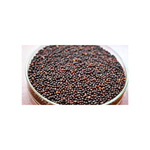 Entrega rápida de colza a granel para necesidades industriales y agrícolas - Product Image 1