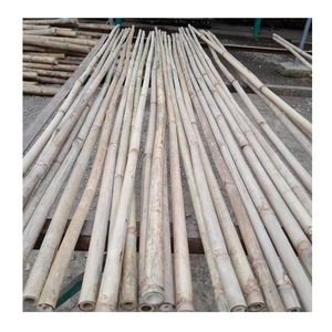 Poteaux en bambou solides pour la décoration extérieure de voie et de jardin Poteaux en bambou de qualité supérieure pour l'aménagement paysager et la conception - Product Image 4