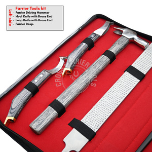 Nouvel ensemble d'outils de maréchal-ferrant pour chevaux, comprenant pinces noires, tire-clous, marteau de maréchal-ferrant, couteau à sabots incurvé, couteau à boucle, instrument vétérinaire - Product Image 3