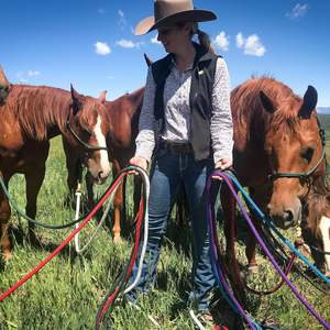 Training <b>Rope</b> Strong Everyday Use All Purpose Horse <b>Lead</b> <b>Rope</b> with Loop & Latigo Popper Smooth Yachting Braid - Product Image 3