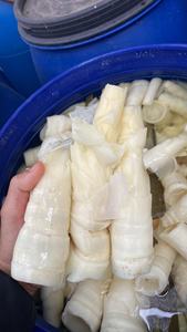 สามารถใช้ได้กับหน่อไม้เค็มปริมาณมาก - Product Image 2