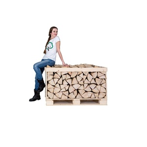 Bois de chauffage de qualité séché au four / Bois de chauffage de chêne / Hêtre / Frêne / Acacia / Bois de carpe / Bois de bouleau - Product Image 6