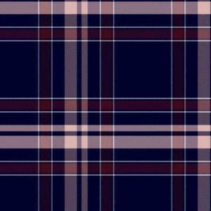 Tela Popelina a Cuadros Teñida con Hilo de Primera Calidad, Material de Camisería de Alta Calidad para Exportación Internacional - Product Image 1