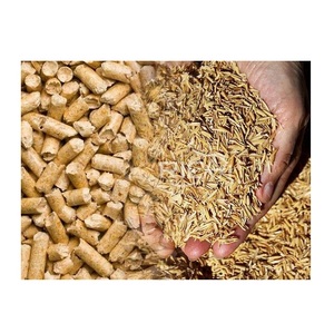 Granulés de paille de riz vietnamienne, granulés de coque de riz - combustible écologique - Product Image 5