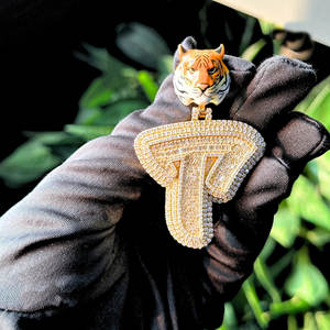 Personalizable 10kt oro rosa Moissanite colgantes última colección para hombres Hip-Hop estilo joyería de plata para el regalo diario - Product Image 4