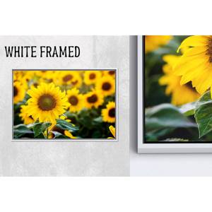 Impresión en lienzo de girasoles: decoración de pared de estilo rústico botánico, obra de arte impresa, lienzo con marco blanco, 1 pieza - Product Image 1