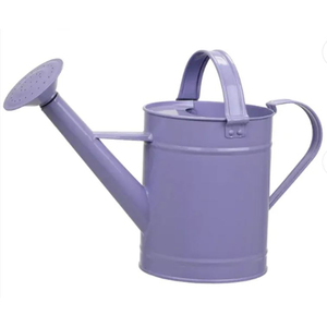 Proveedores al por mayor de diseño ovalado hecho a mano regadera Metal jardín decoración plantas regadera maceta al mejor precio - Product Image 2